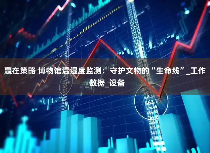 赢在策略 博物馆温湿度监测：守护文物的“生命线”_工作_数据_设备