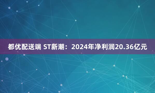 都优配送端 ST新潮：2024年净利润20.36亿元