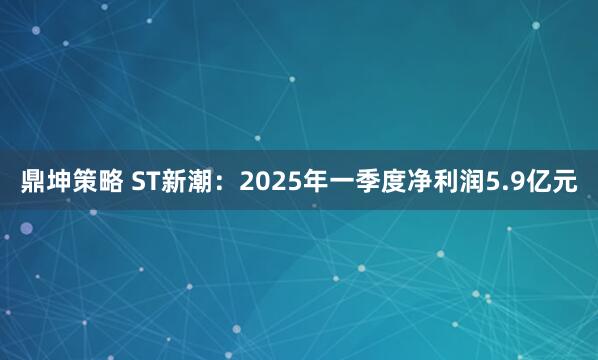 鼎坤策略 ST新潮：2025年一季度净利润5.9亿元